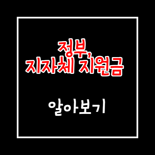 정부, 지자체 지원금 알아보기
