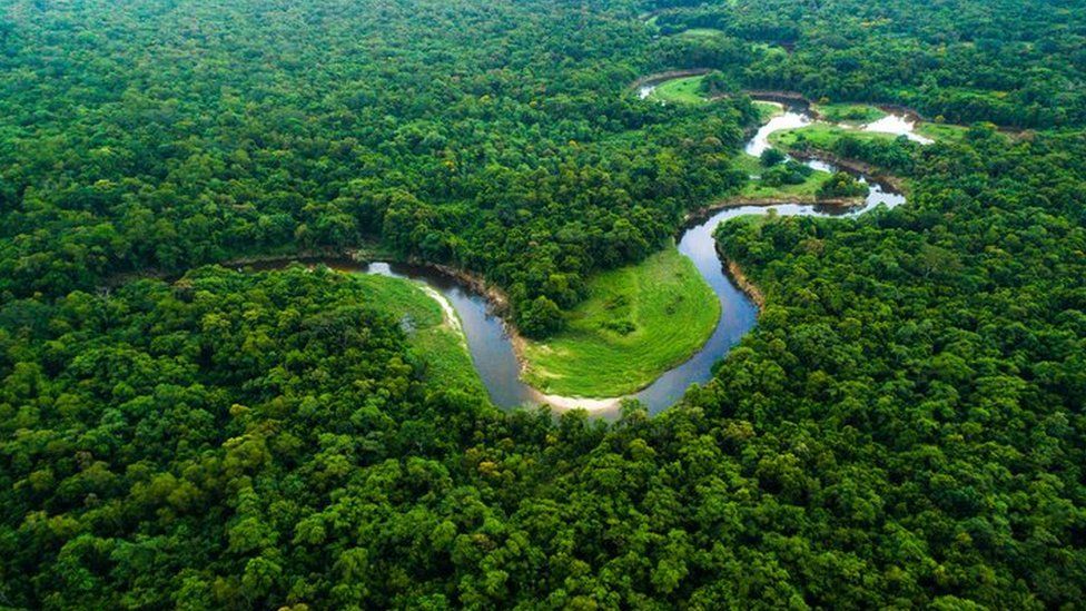 마나우스 (Manaus) &amp; 아마존 열대우림 (Amazon Rainforest)