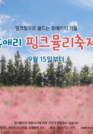 휴애리-핑크뮬리-축제