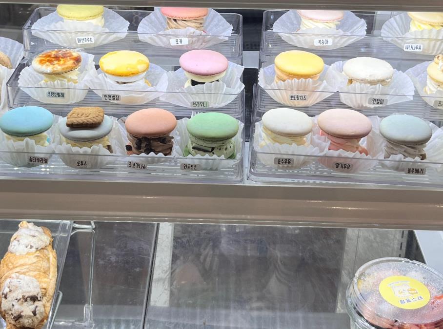 진열대에 가득 진열되어 있는 생방송투데이 뚱카롱