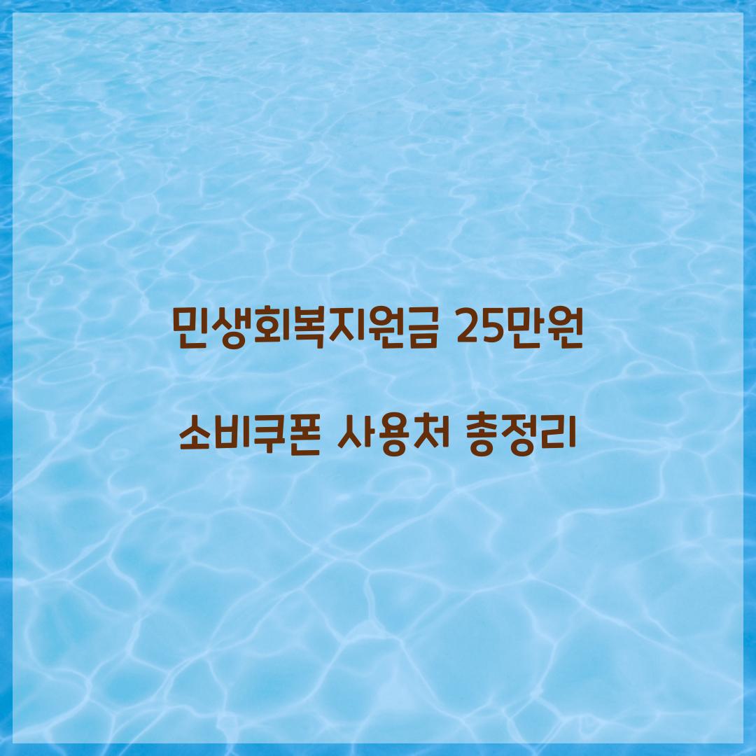 민생회복지원금 25만원 소비쿠폰 사용처