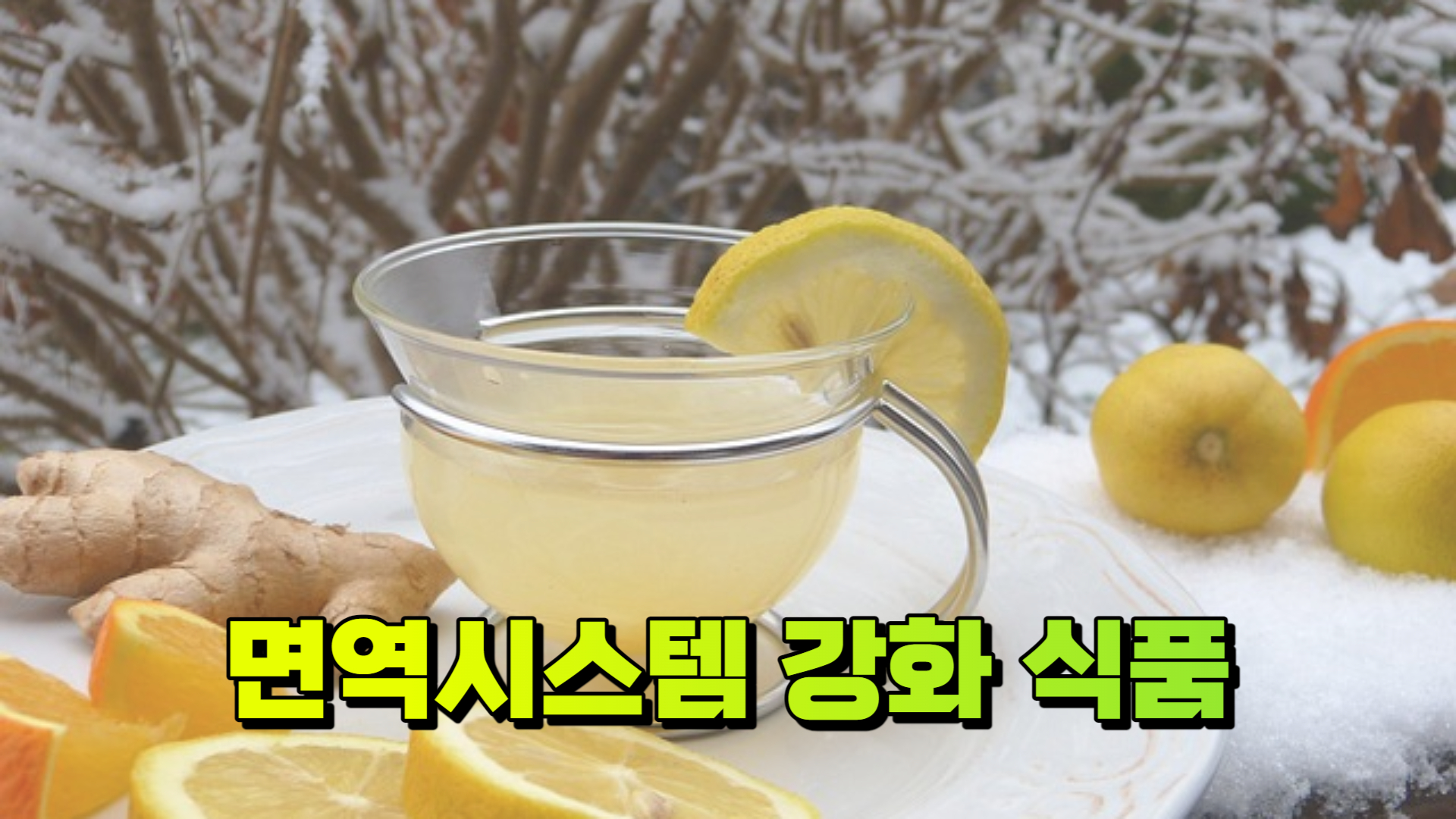 면역시스템 강화 식품