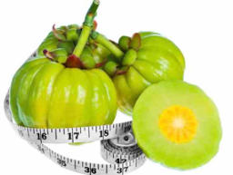 가르시니아 캄보지아2