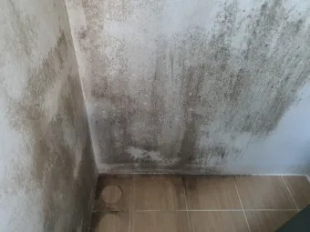 곰팡이 제거 락스 과탄산소다 환기 습기 원인 총정리_14