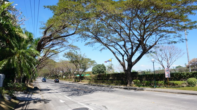 아얄라-알라방-마을안에-위치한-폴로경기장