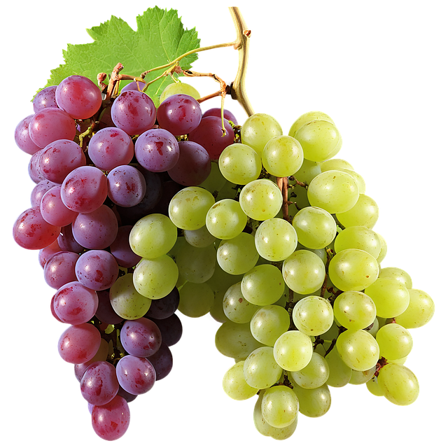 간건강, 간에좋은음식, 자몽효능, 포도효능, 녹차효능, 지방간개선, 항산화음식, 간해독, 숙취해소, 건강정보, 2025건강트렌드