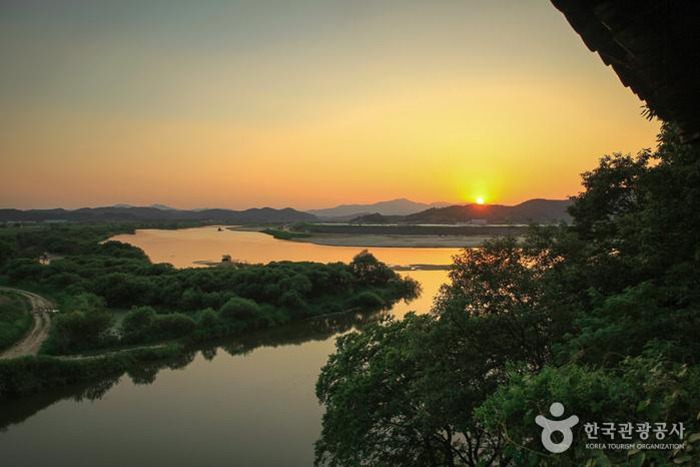 함안 악양둑방길 양귀비꽃