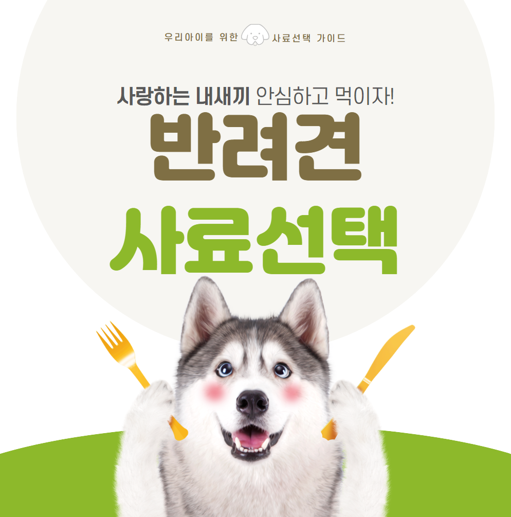 반려견-사료-선택-가이드