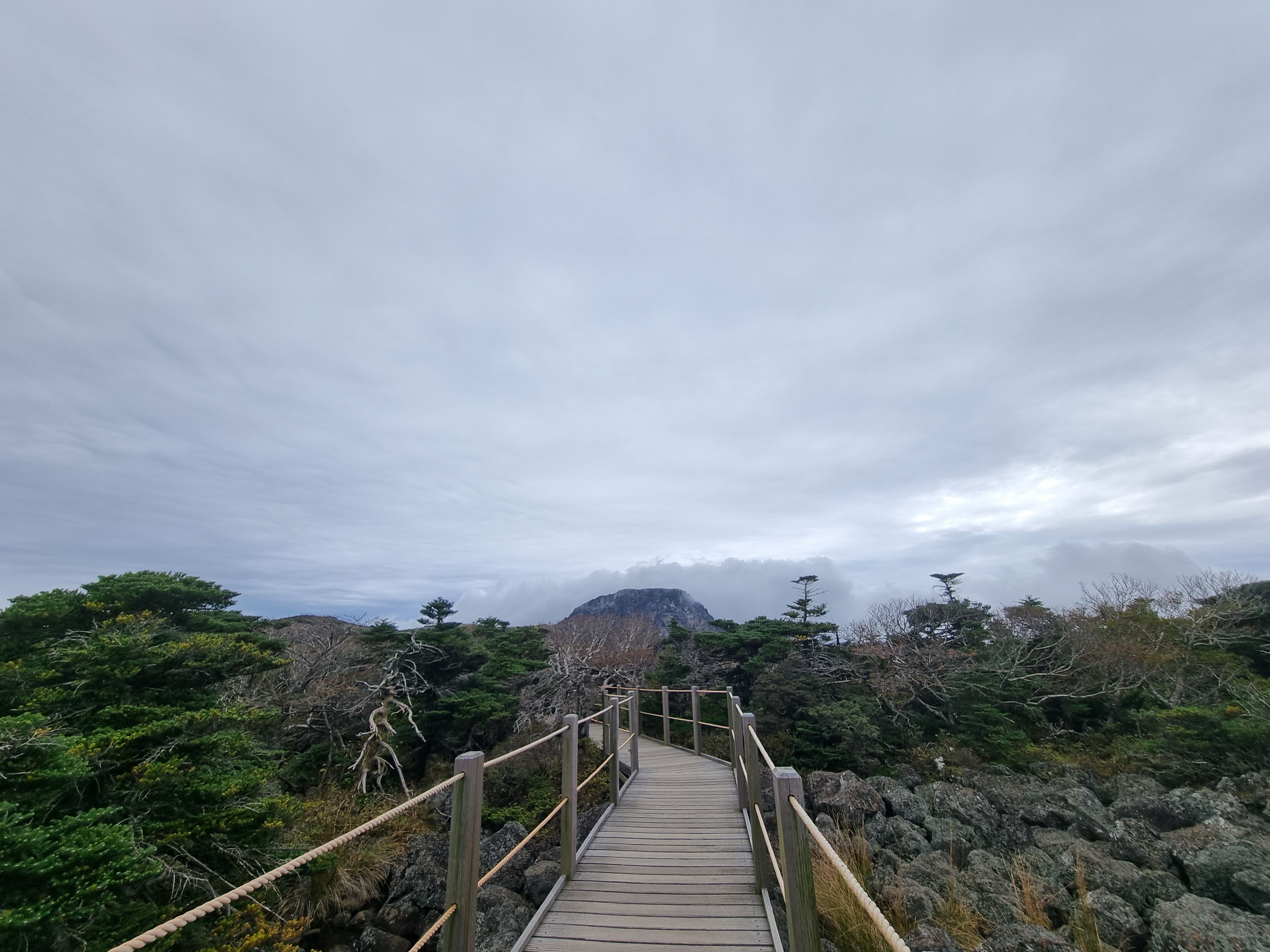 윗세오름 영실코스