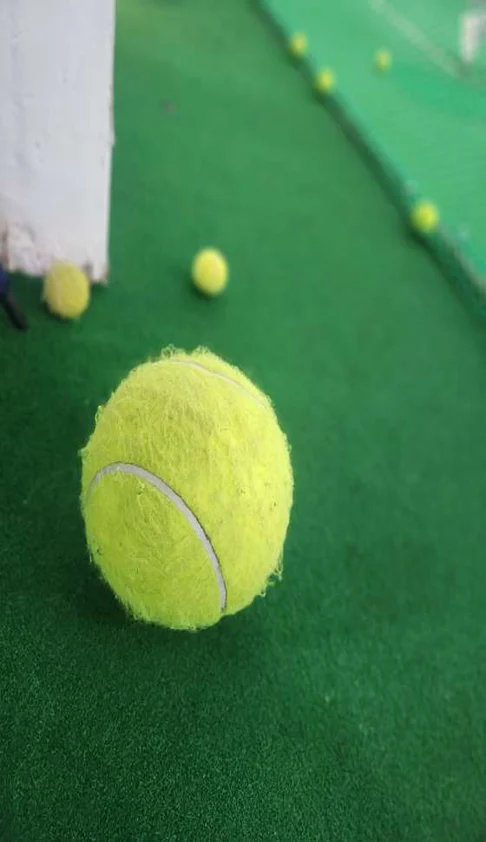 산본 윔블던 실내테니스 아카데미