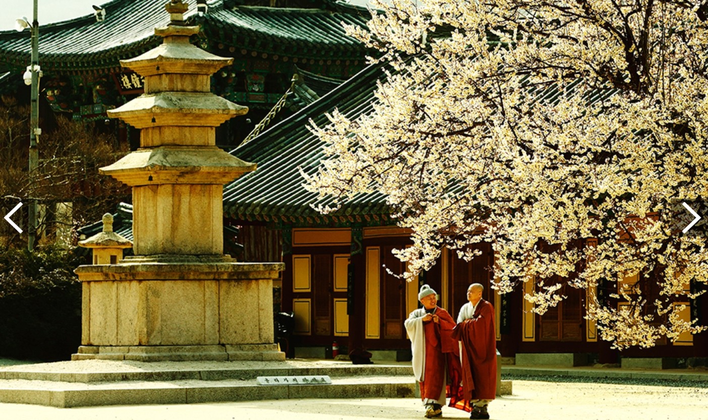 밀양 벚꽃 명소