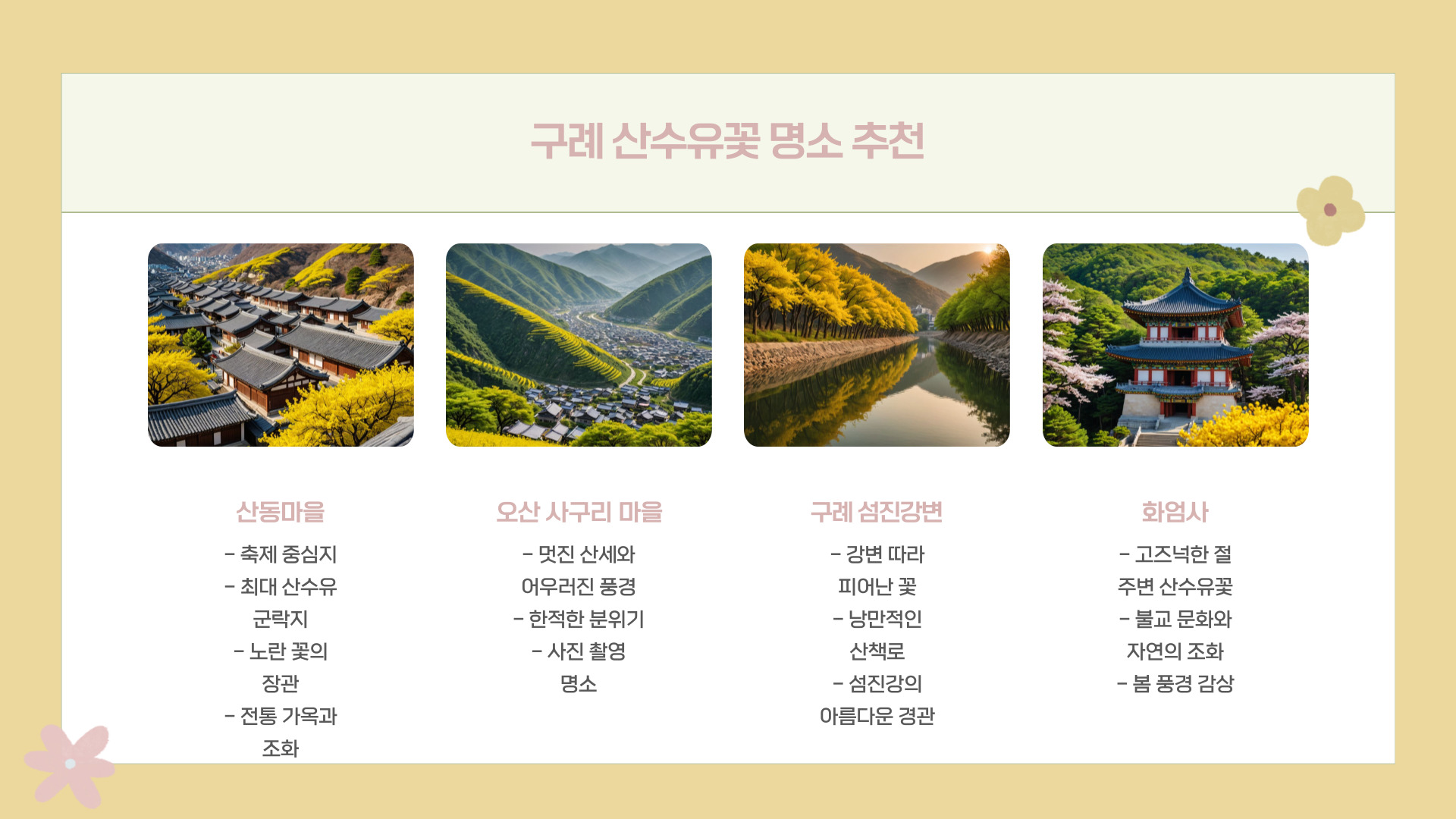 2025 구례 산수유꽃축제 일정 및 개화 시기