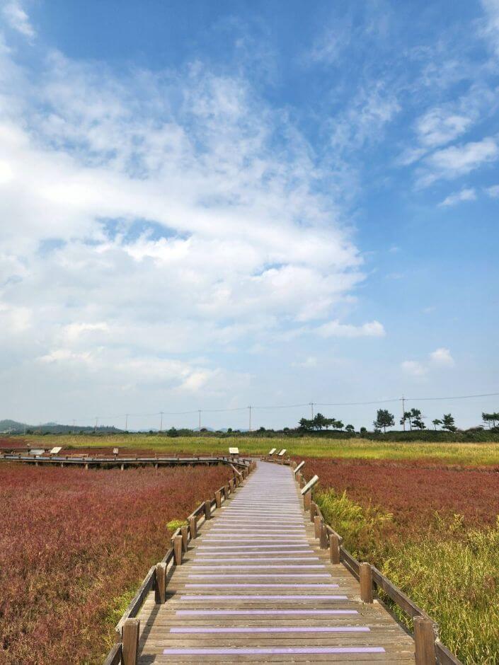 신안 가볼만한곳 베스트 10
