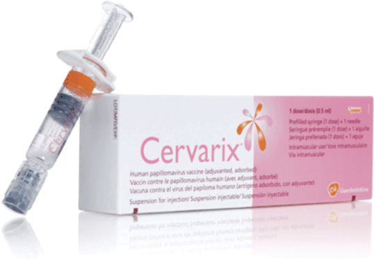 자궁경부암 예방접종 비용 비교