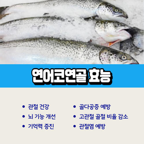 연어코추출물_효능