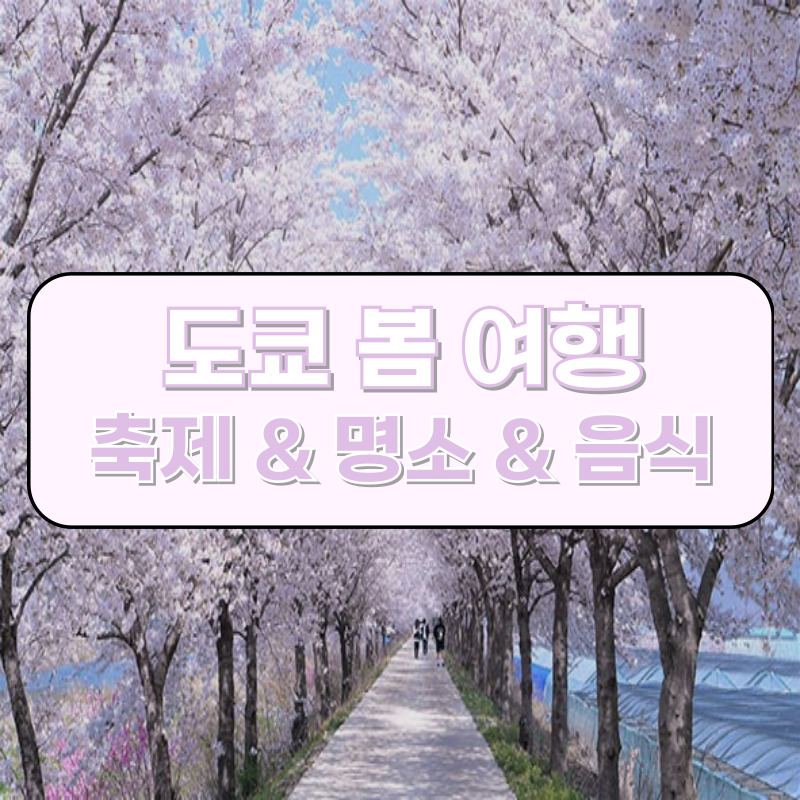 도쿄 봄 여행: 꼭 가봐야 할 축제와 명소