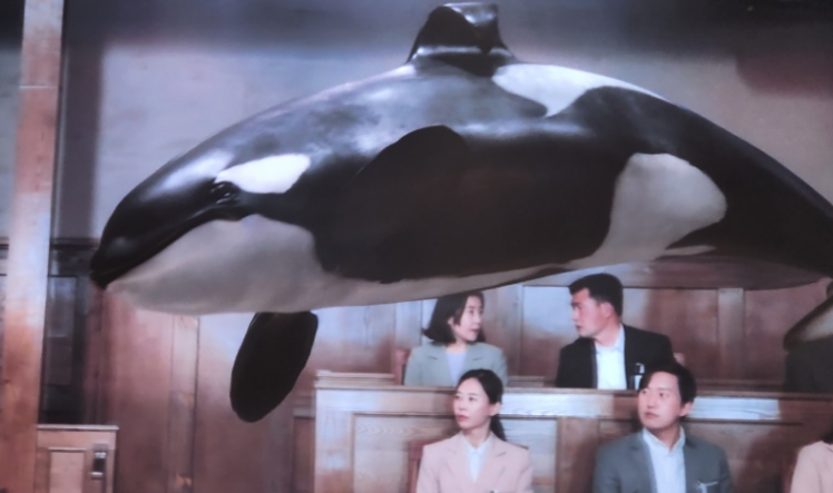 이상한 변호사 우영우 고래