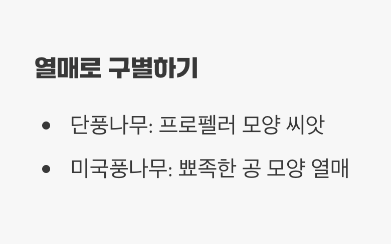 결정적 증거, 뾰족뾰족 '도깨비 방망이'
