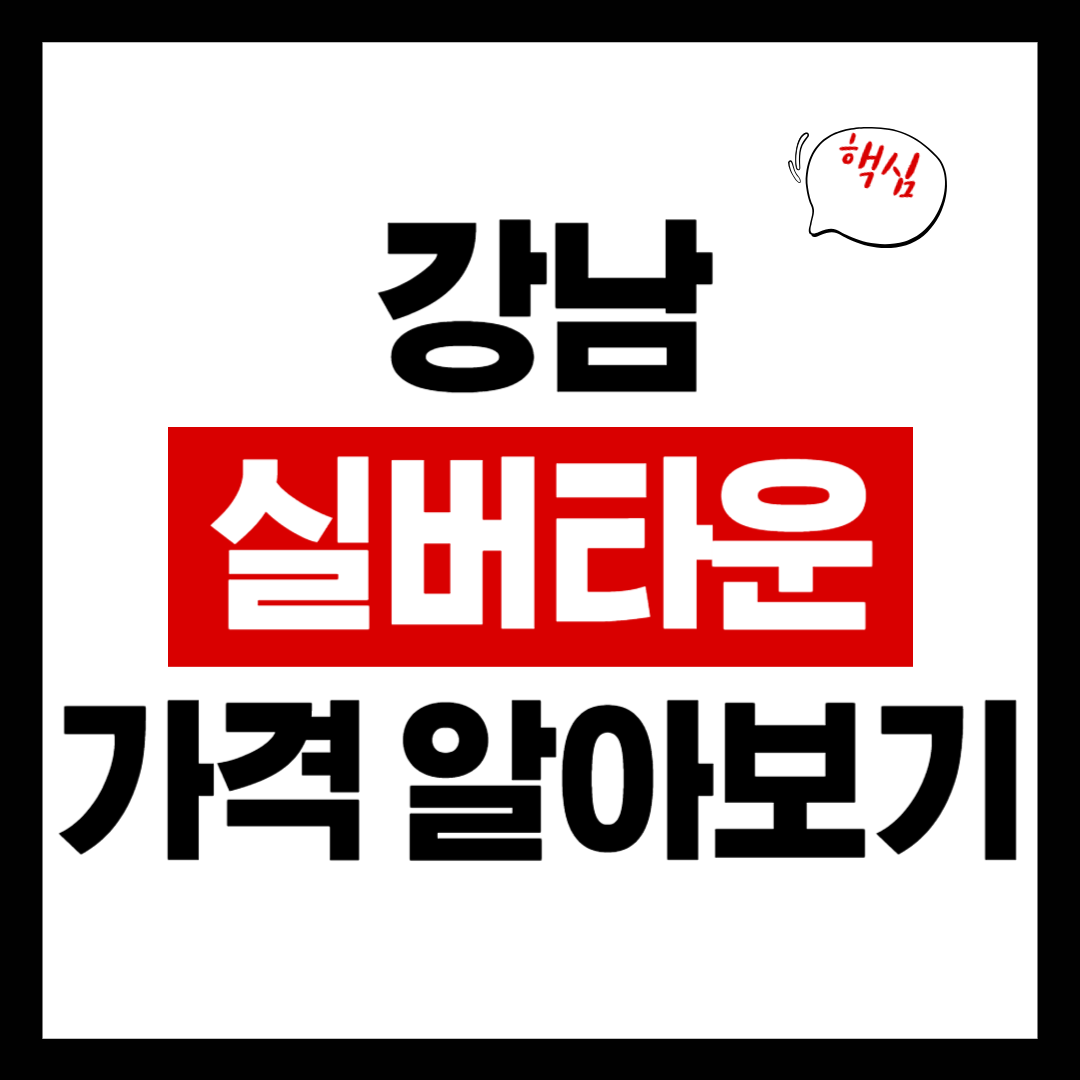 강남 실버타운 가격