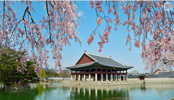 경복궁 사진2