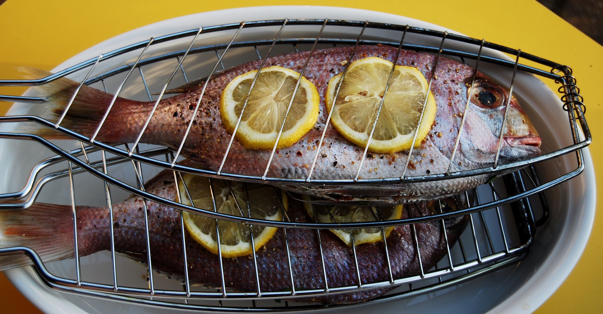 광어효능 도미효능 서천 자연산 광어 도미 축제