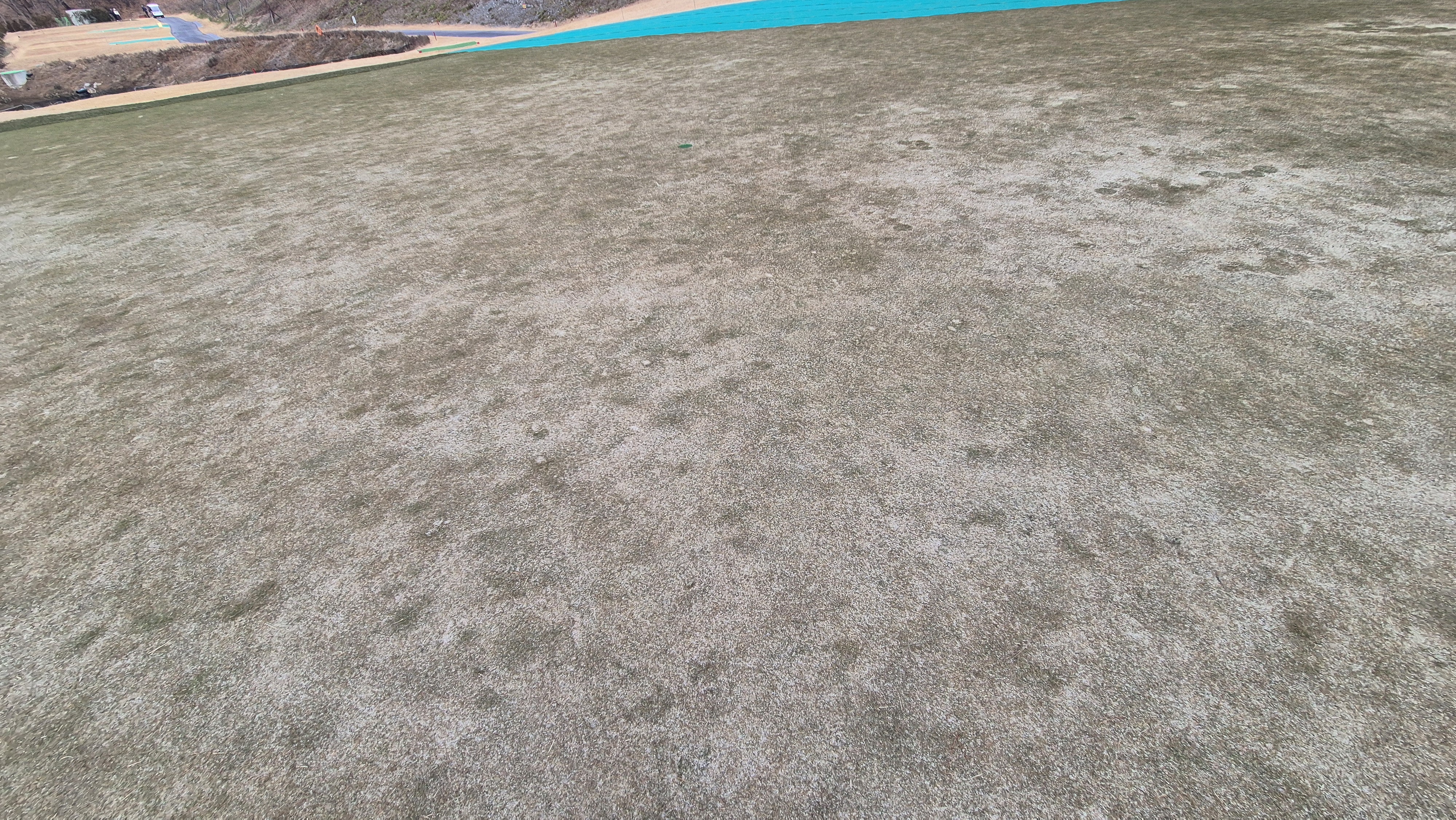 모나크cc 라운드 후기 그린관리상태