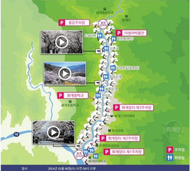 화개장터 벚꽃축제