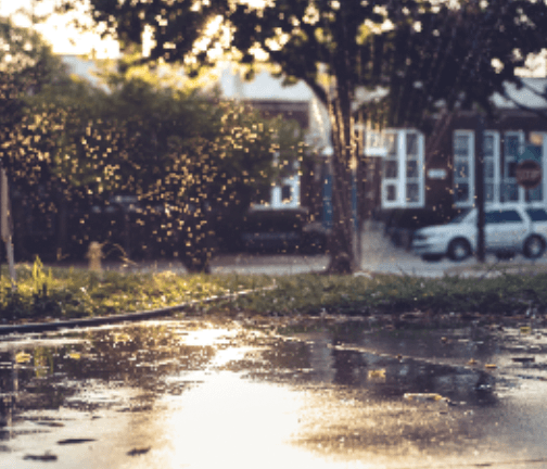 전입신고 인터넷 신고 방법