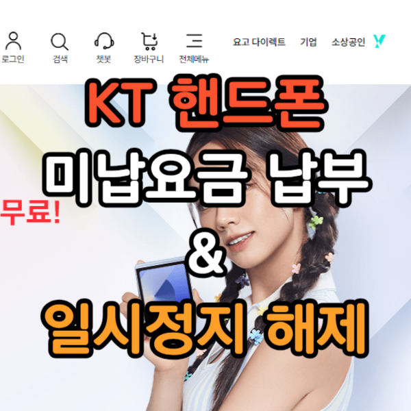 kt 미납요금