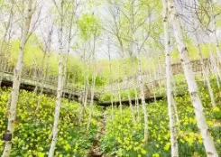 화담숲 사진 명소 시간대별 촬영 완벽 가이드