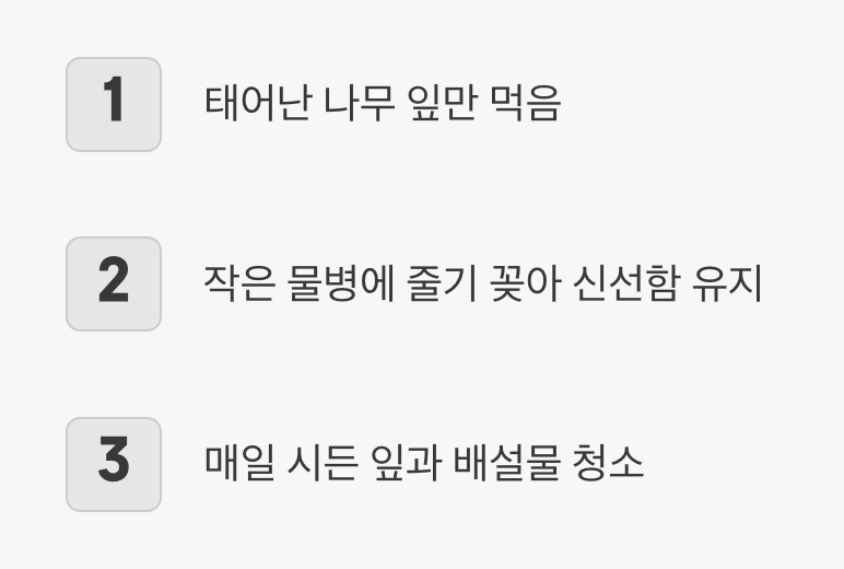 편식대마왕을 위한 신선한 뷔페