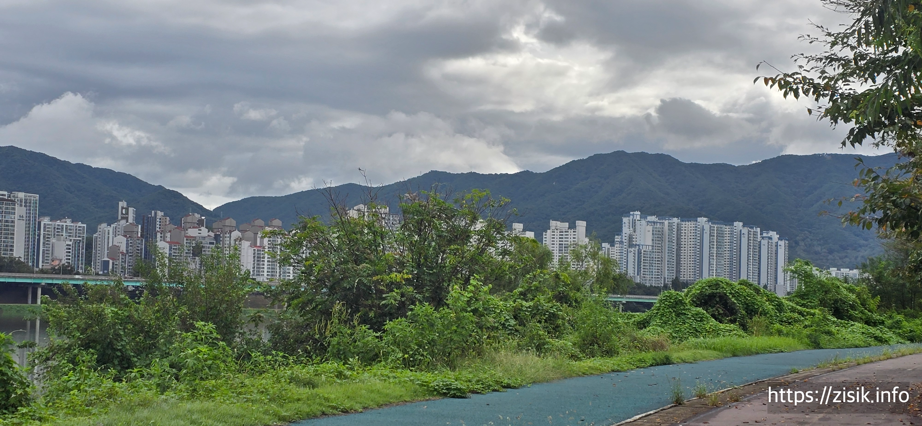 대한민국 부동산 시장 이슈 분석, 대출 규제&middot;목동 아파트&middot;해외 투자 리스크
