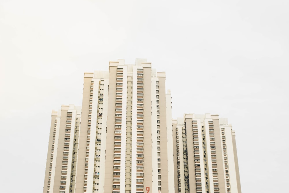 복합 플랫폼 관련 이미지