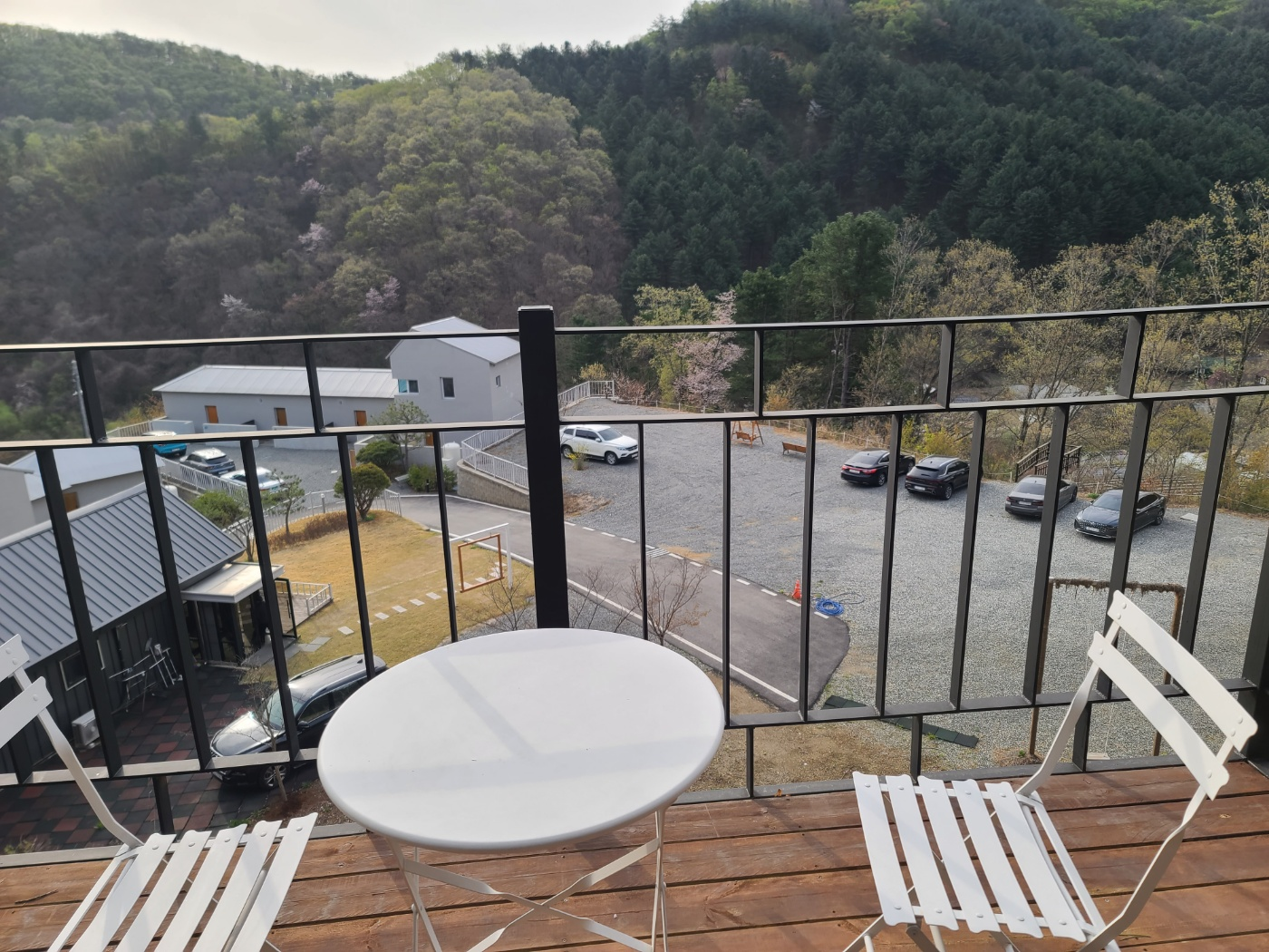 양평 단월면 연화도감