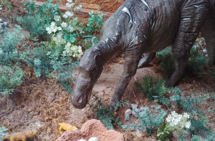 우석헌 자연사 박물관