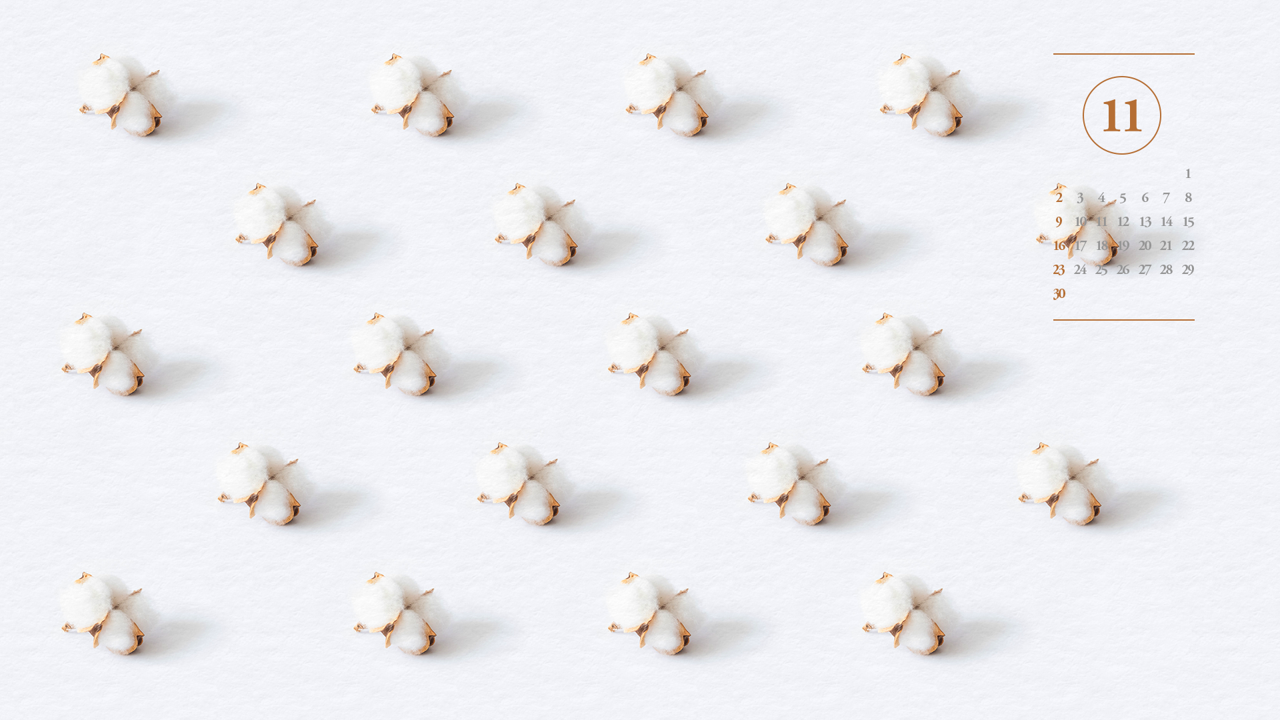 09 목화솜 A - 2025년11월 노트북배경화면