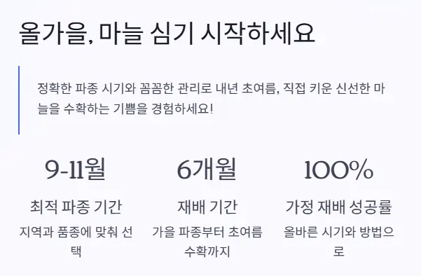 가을 마늘 심기