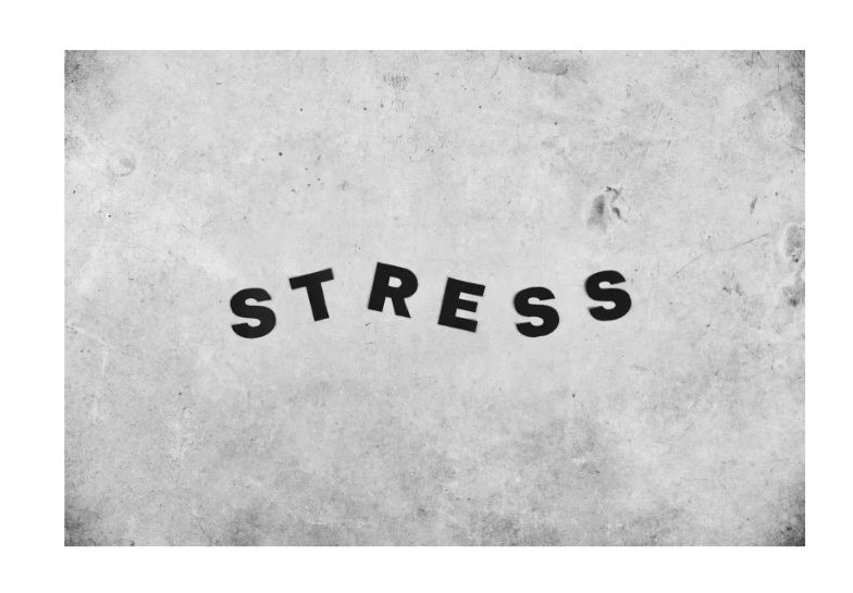 스트레스 이미지
