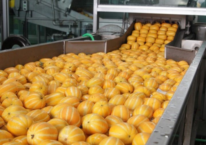 참외 효능 부작용