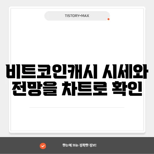 비트코인캐시 시세와 전망을 차트로 확인