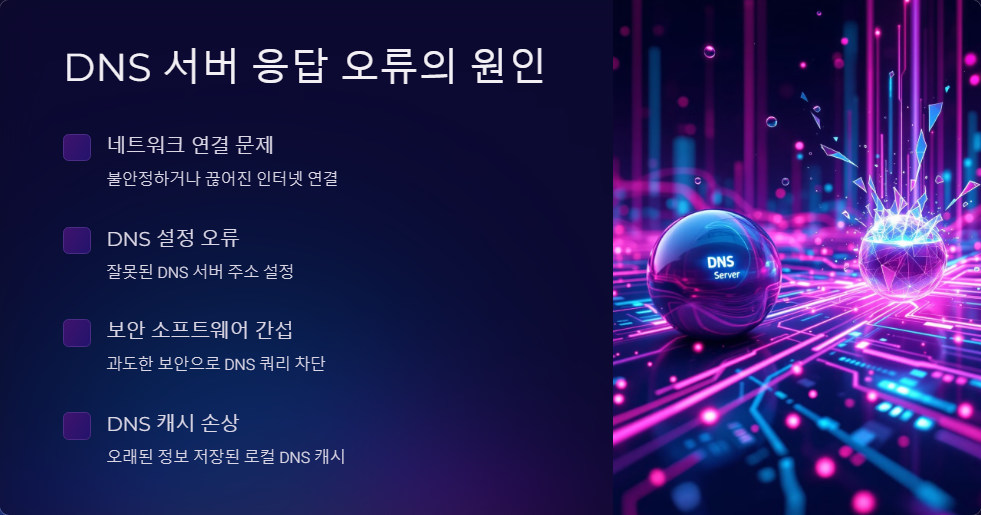 DNS