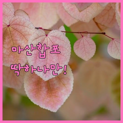 창원 마산합포구 시니어클럽 노인일자리..