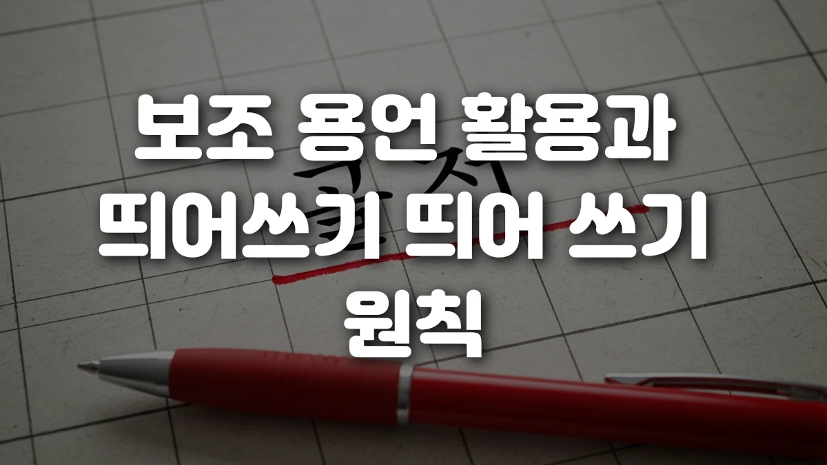 보조 용언 활용과 띄어쓰기 띄어 쓰기 원칙