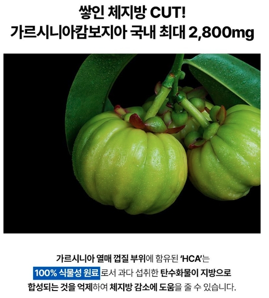 파란통 다이어트 가르시니아캄보디아 설명