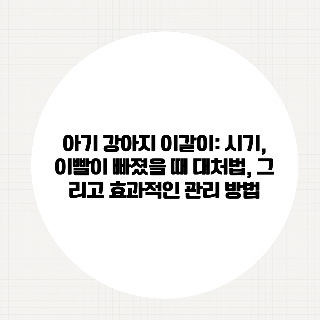 아기 강아지 이갈이