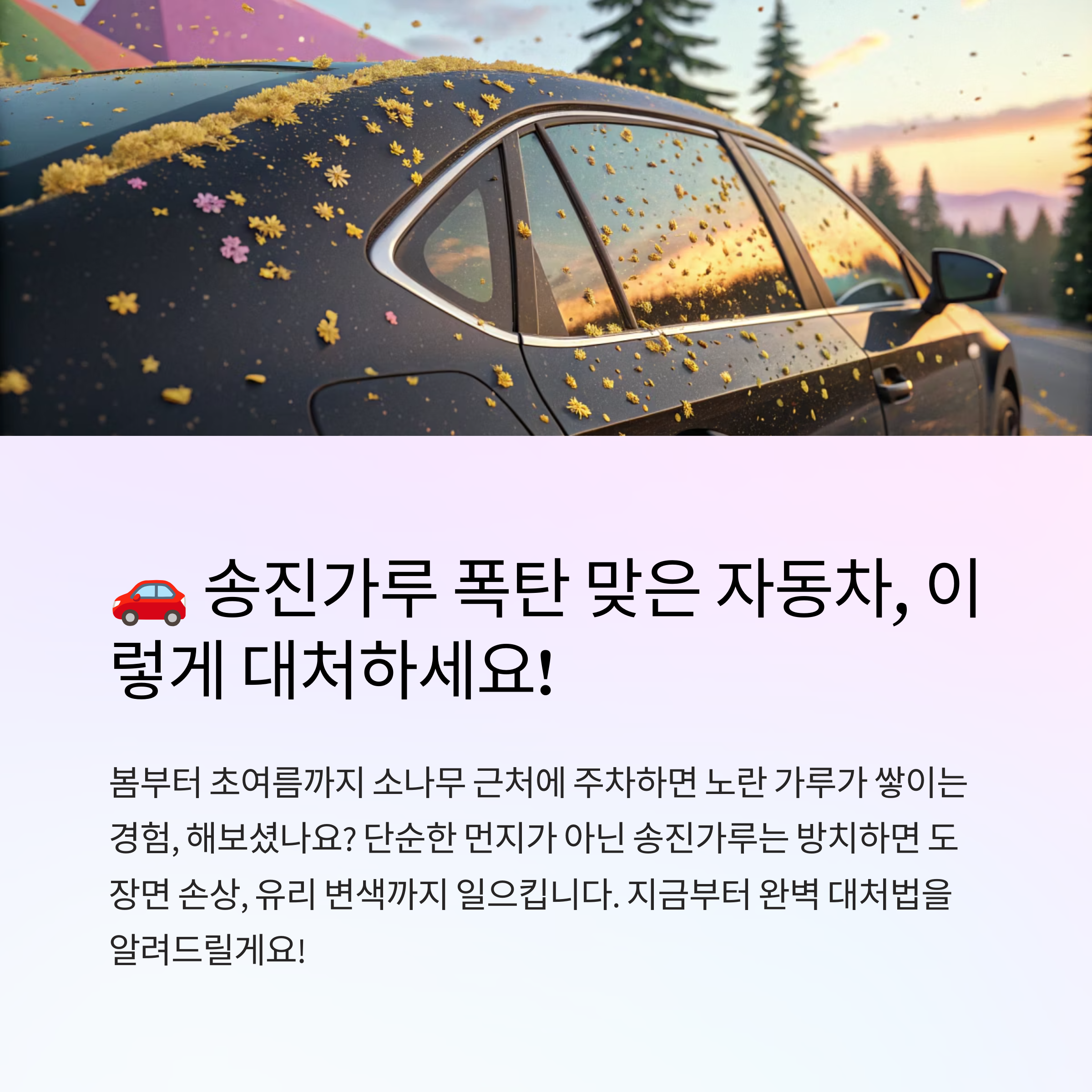 🚗 송진가루 폭탄 맞은 자동차 대처법 총정리