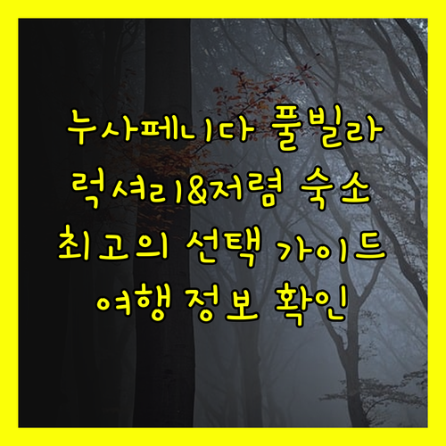 누사페니다 럭셔리 풀빌라부터 저렴한