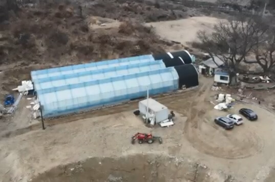 생방송투데이 환승직업 두 번째 인생 충주 쌈 채소 농장 웰팜이에이씨 쌈채소 스마트스토어 주문방법