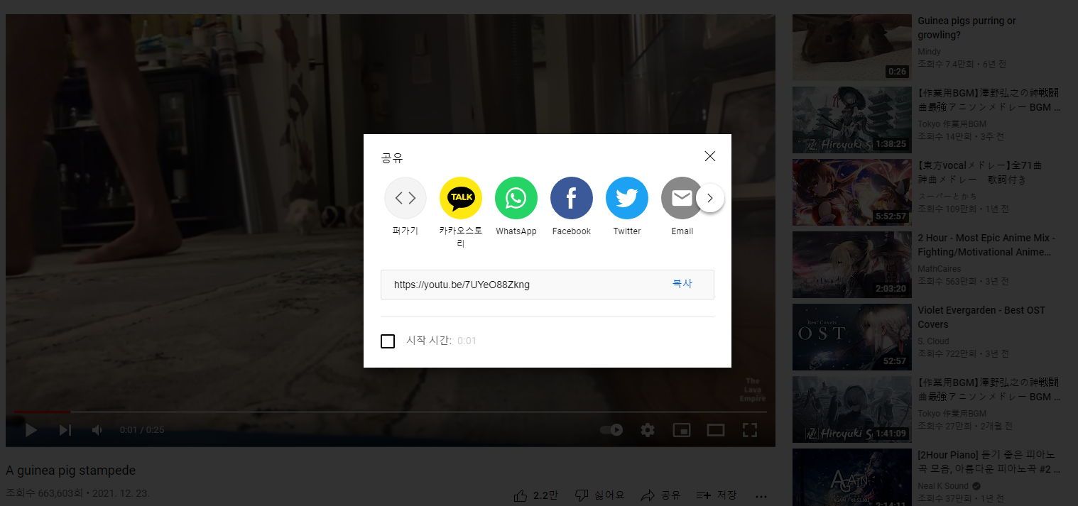 댓글-미디어-첨부