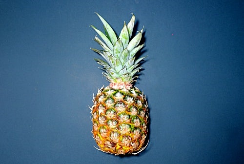 4. 면역력을 높여준다.